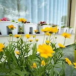 Hotel Aljor Golem (Tirana)