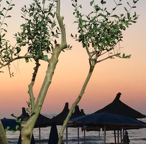 Aljor Golem (Tirana)