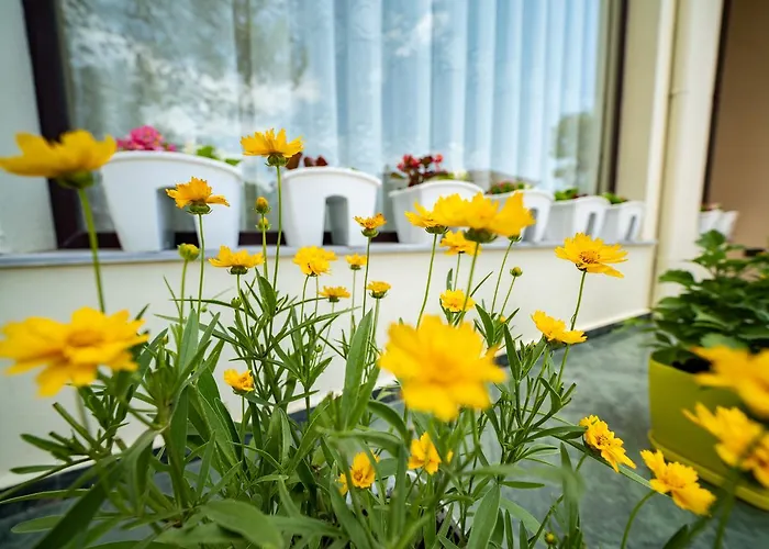 Отель Aljor Голем